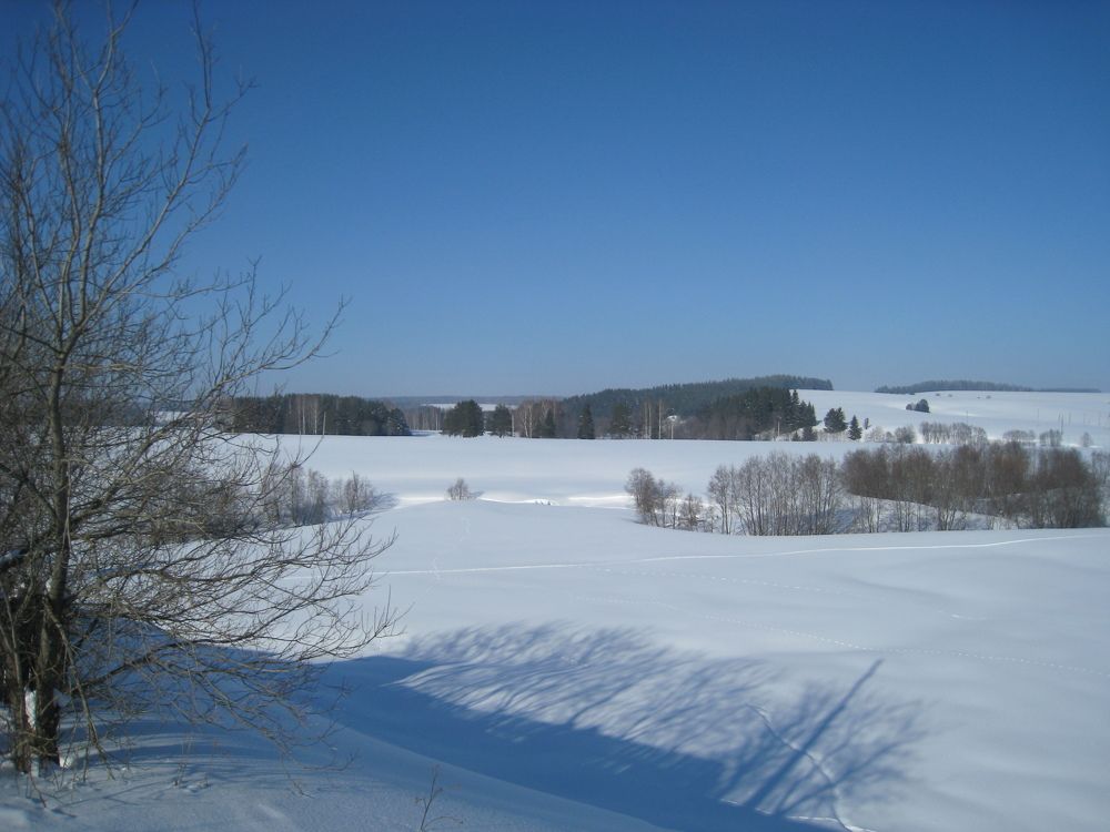 Зимний пейзаж