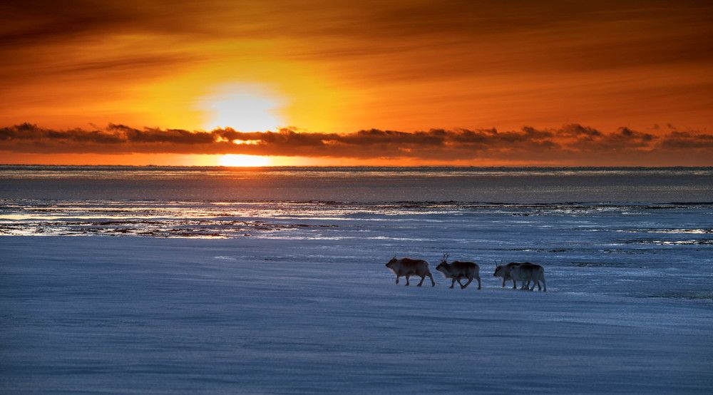 Закаты Шпицбергена