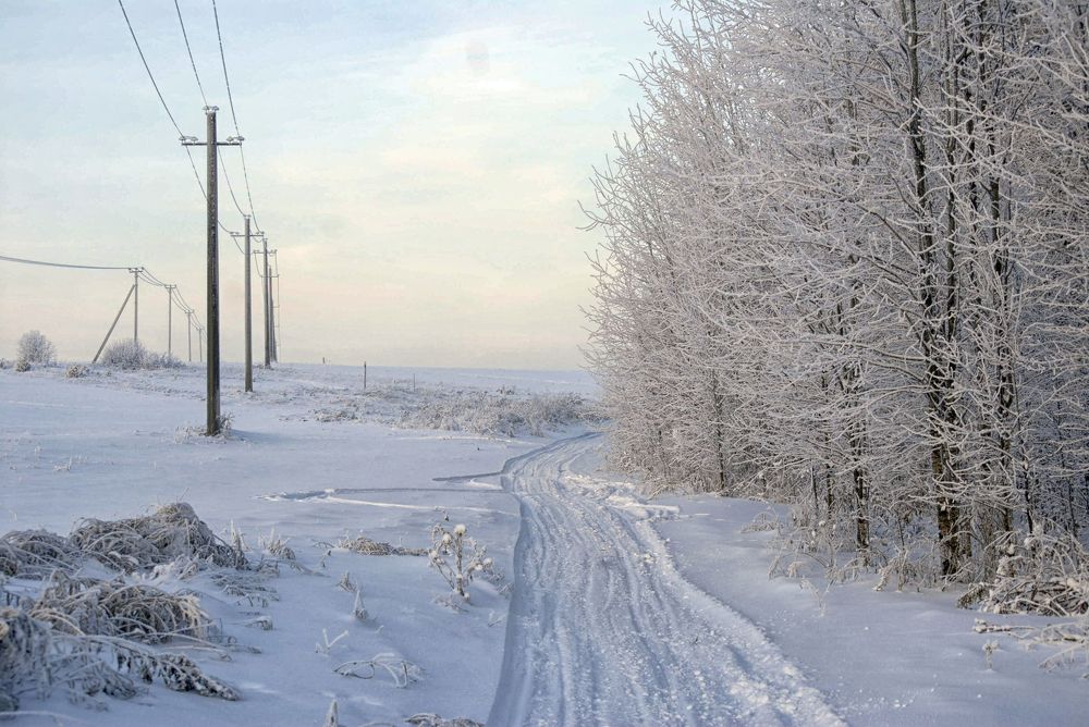 Photograph by Виктор Печищев