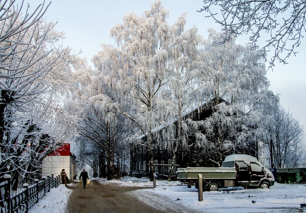 морозный день