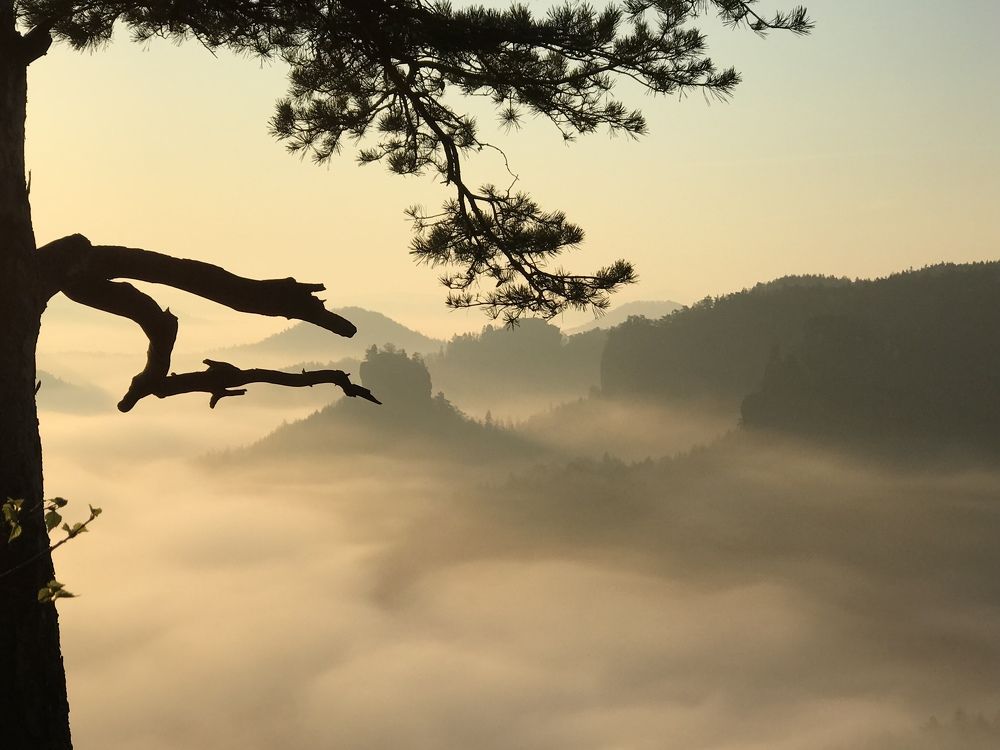 Туманность