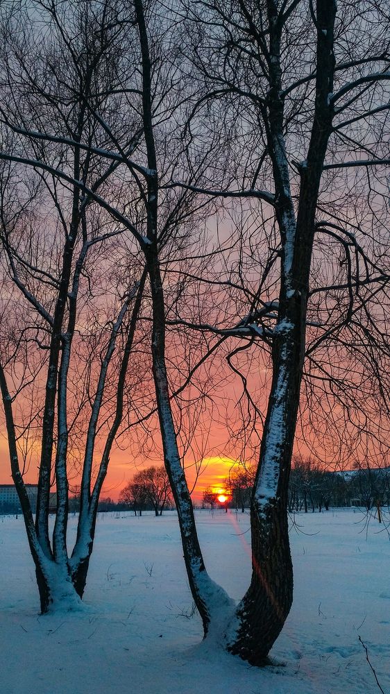Зимний закат