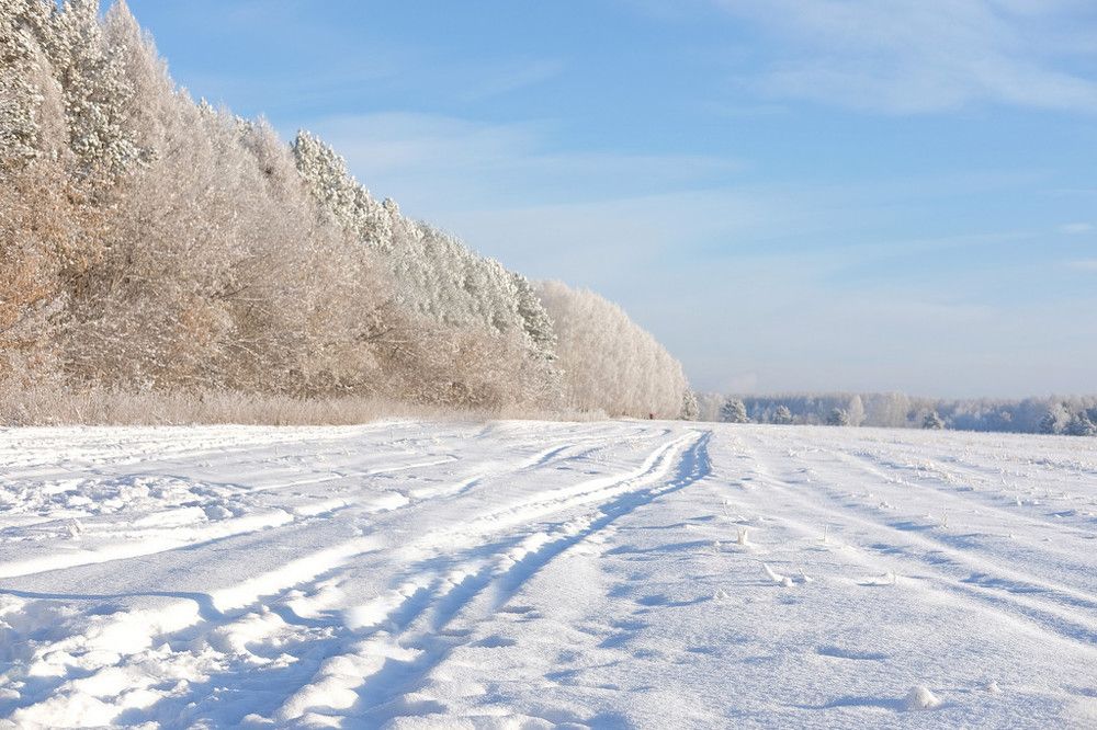 Photograph by Алёна Пичугина
