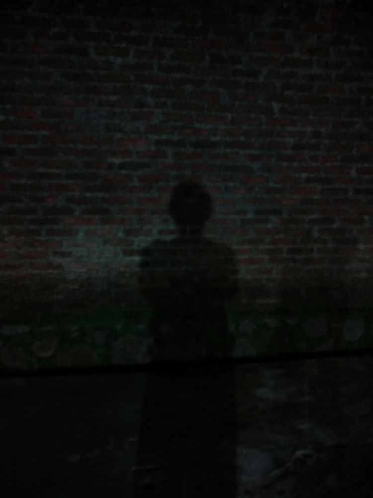 Silence Night