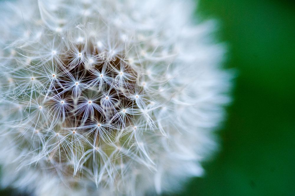 Photograph by Юлиана Джус