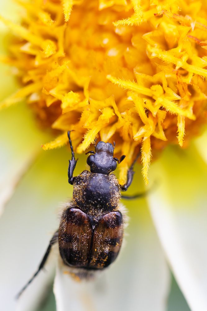 Смаковник:)