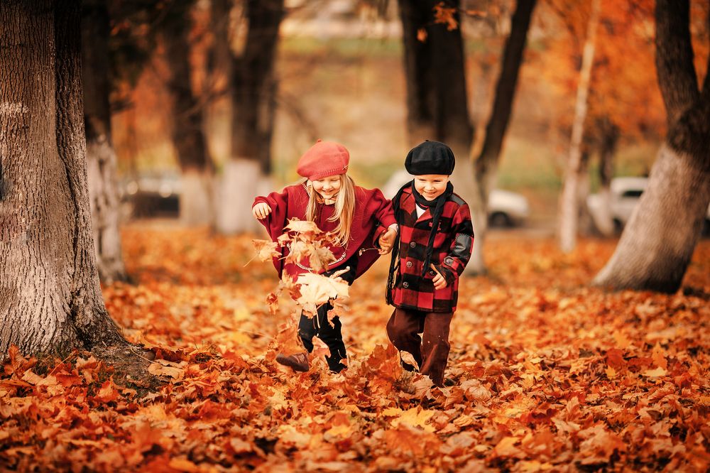 Сквозь осенний листопад