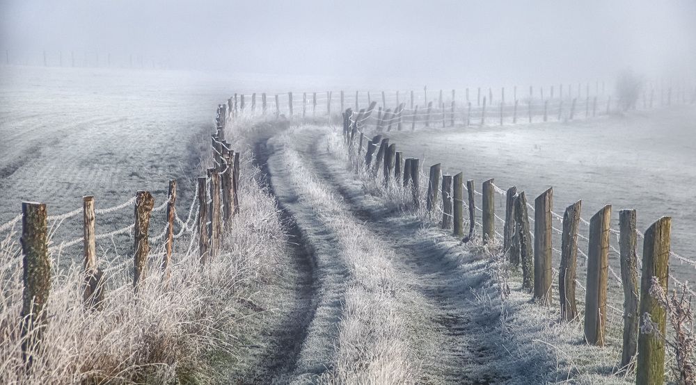 Photograph by Guy Krier