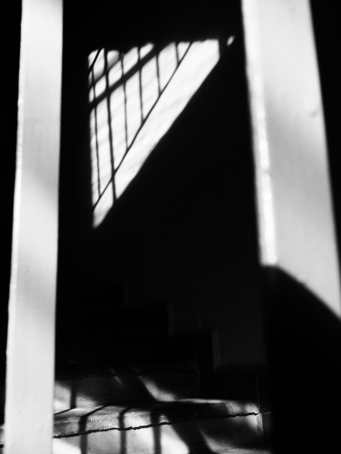 The shadows