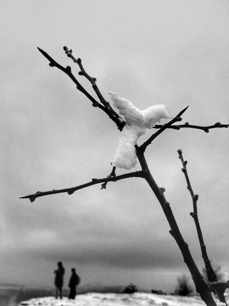 Двое и колибри