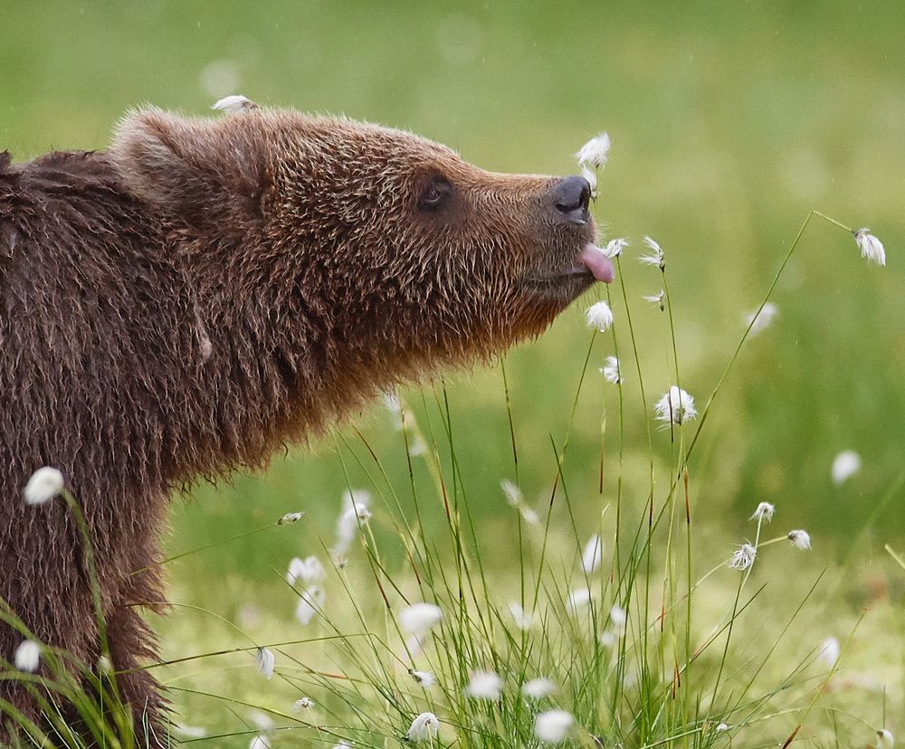 Притяжение
