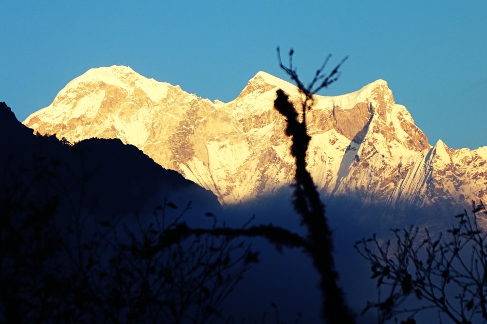 Tree Shadow in Snow Mountain