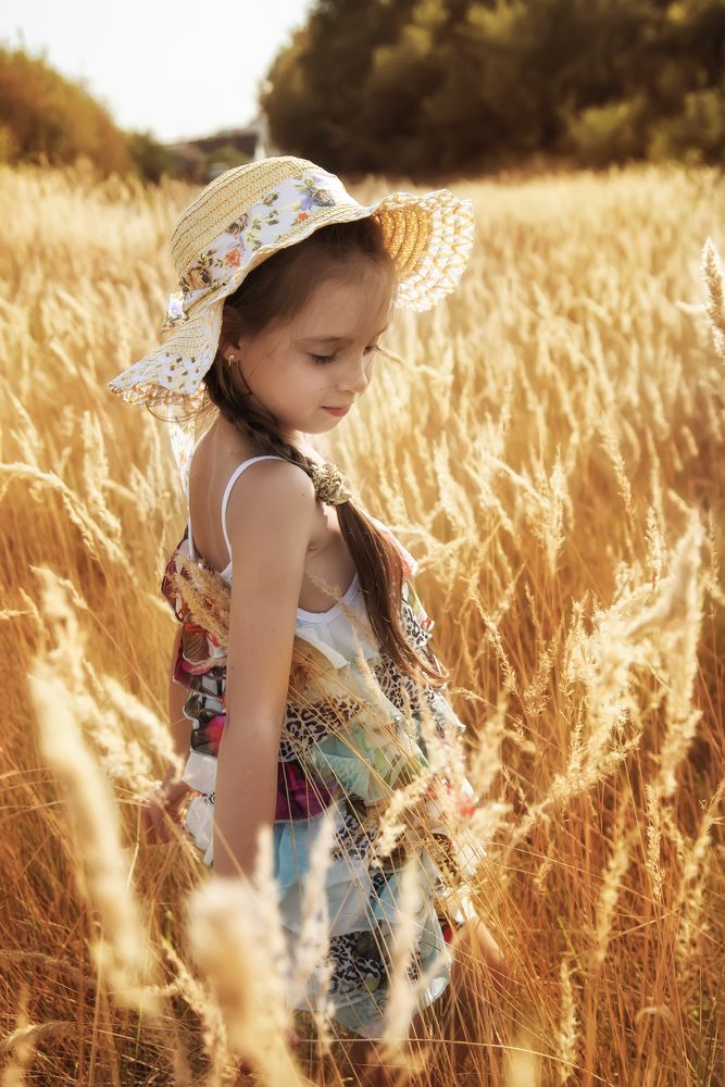 осеннее поле