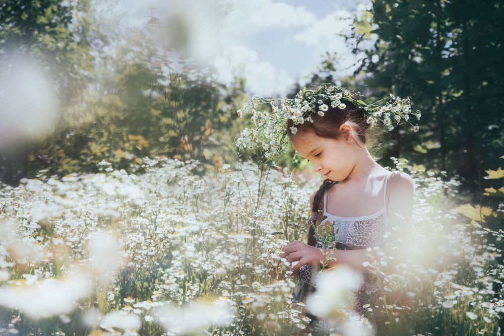 ромашковое облако