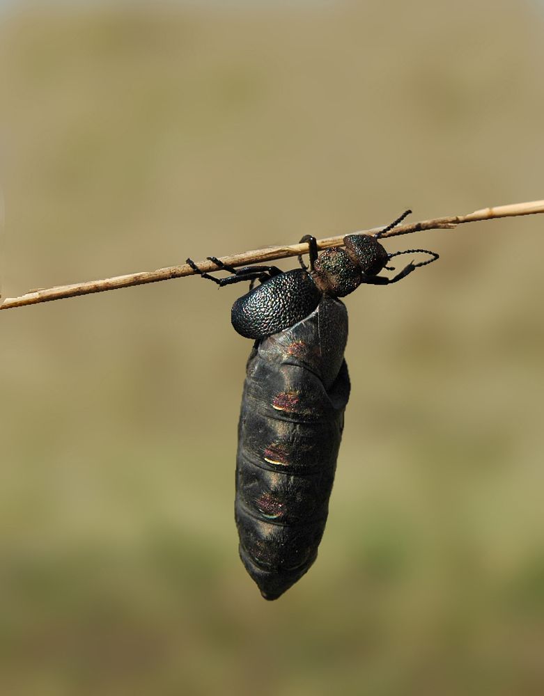 Еще немного,еще чуть-чуть