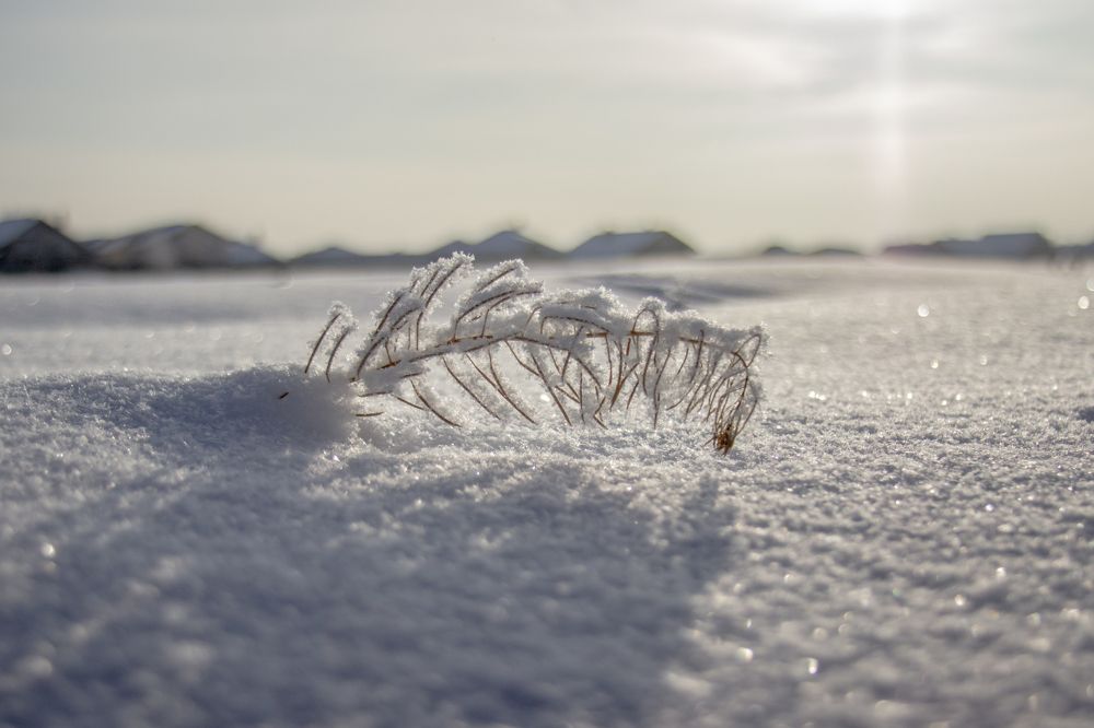 Один в поле - воин