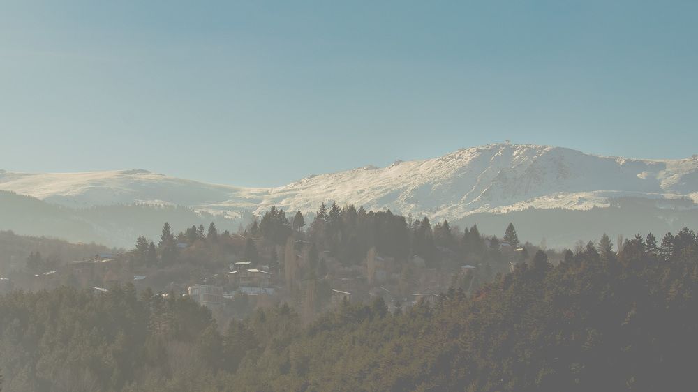 Photograph by Polina Sharapova