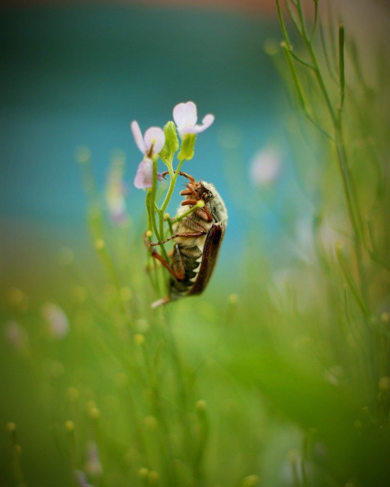 Однажды утром...