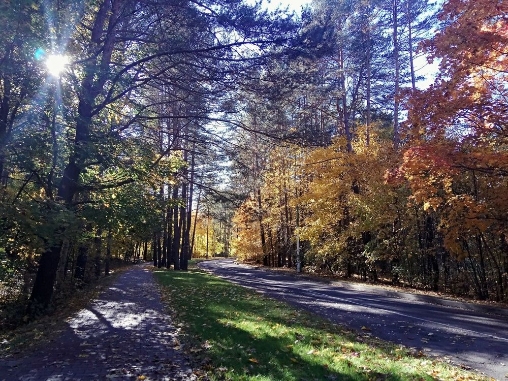 50 оттенков осени