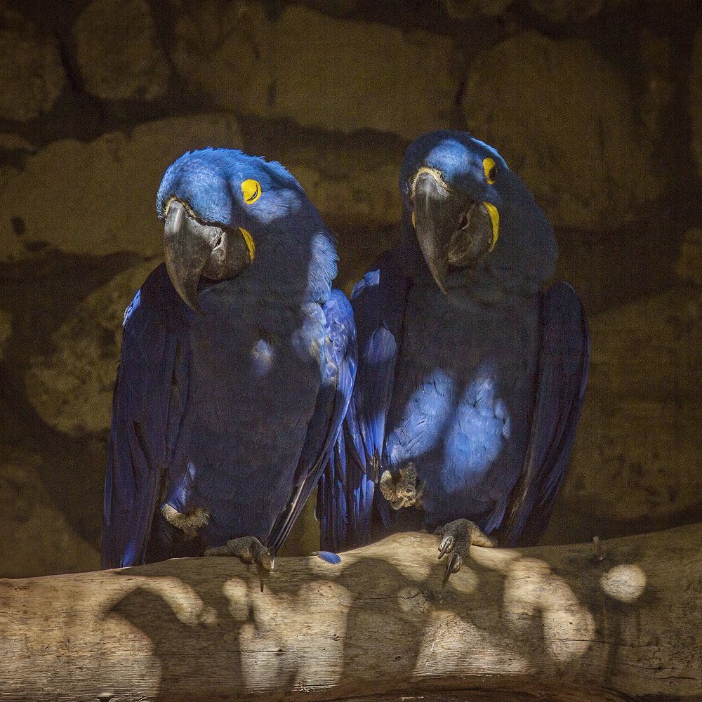 Солнечные ванны