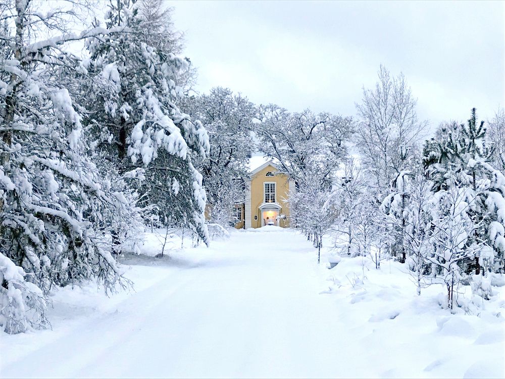 Дом милый дом