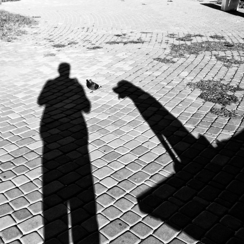 Photograph by Денис