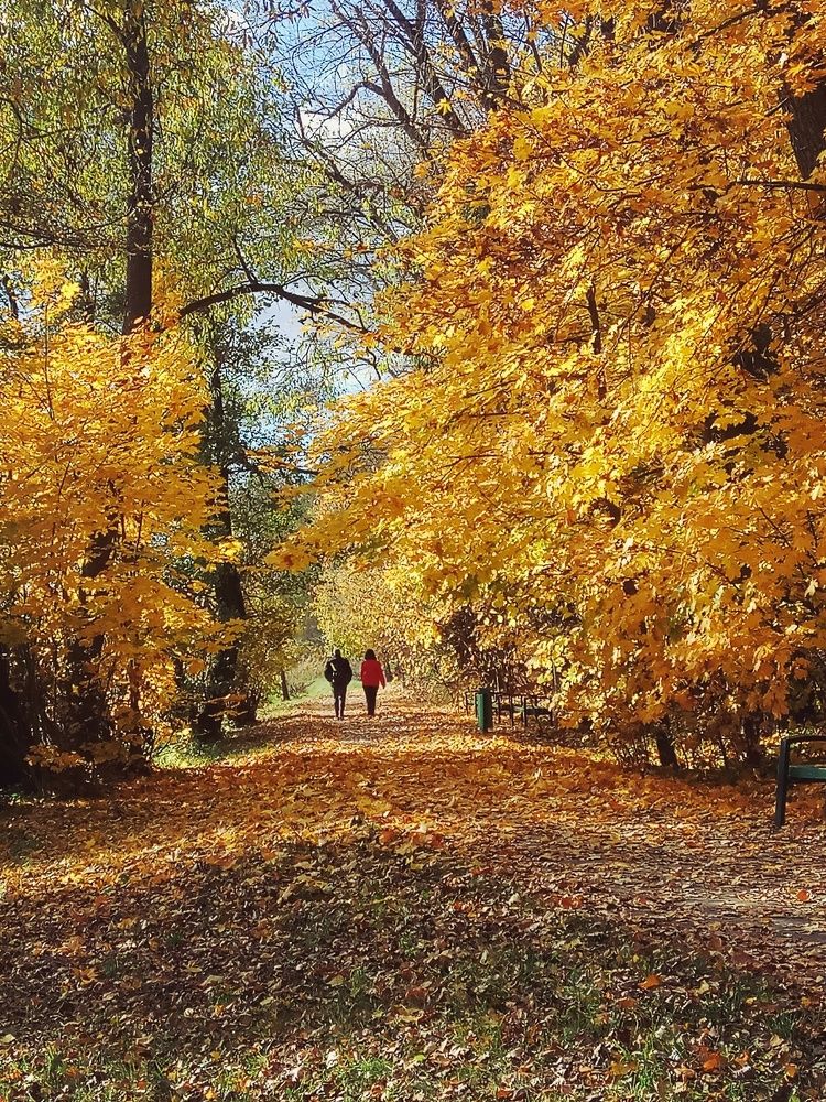 Осень на двоих