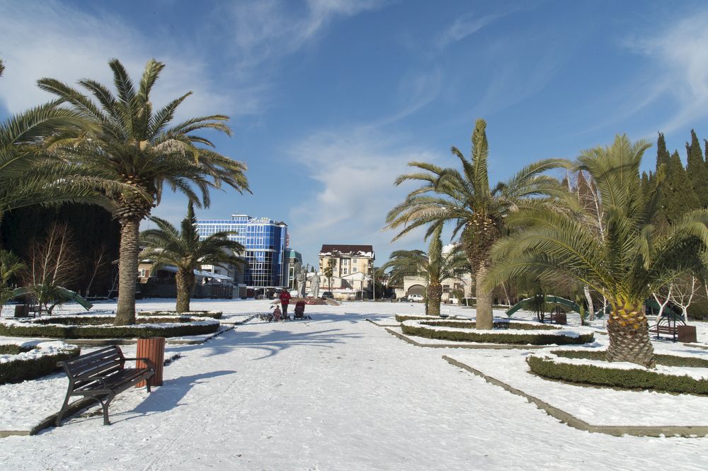 Зимний день в Адлере