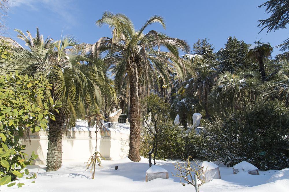 Солнце, пальмы, день чудесный