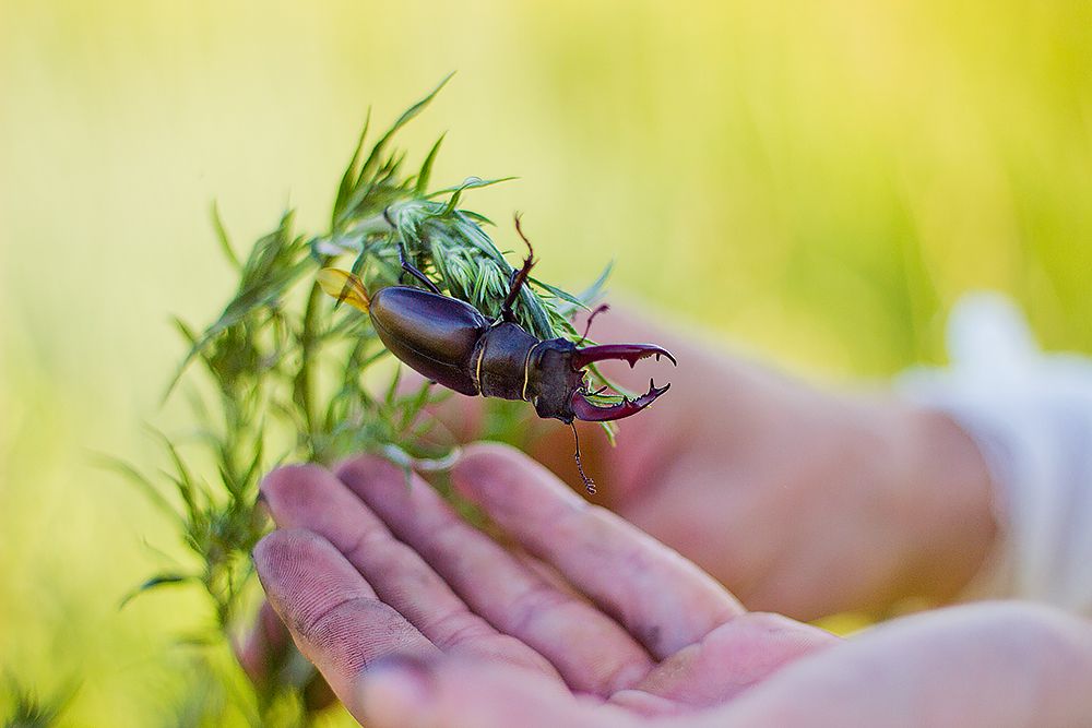 Photograph by Мария Сычёва