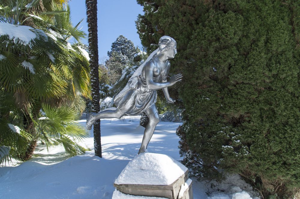 Девушка на снегу