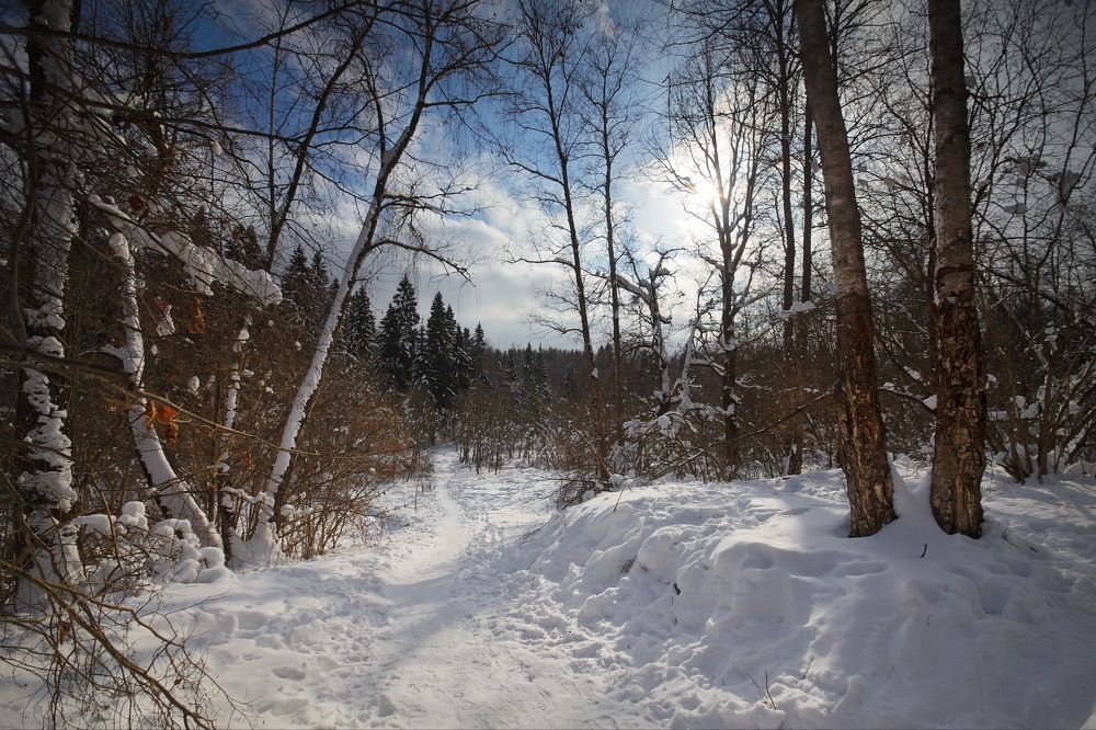 Это Родина моя!..