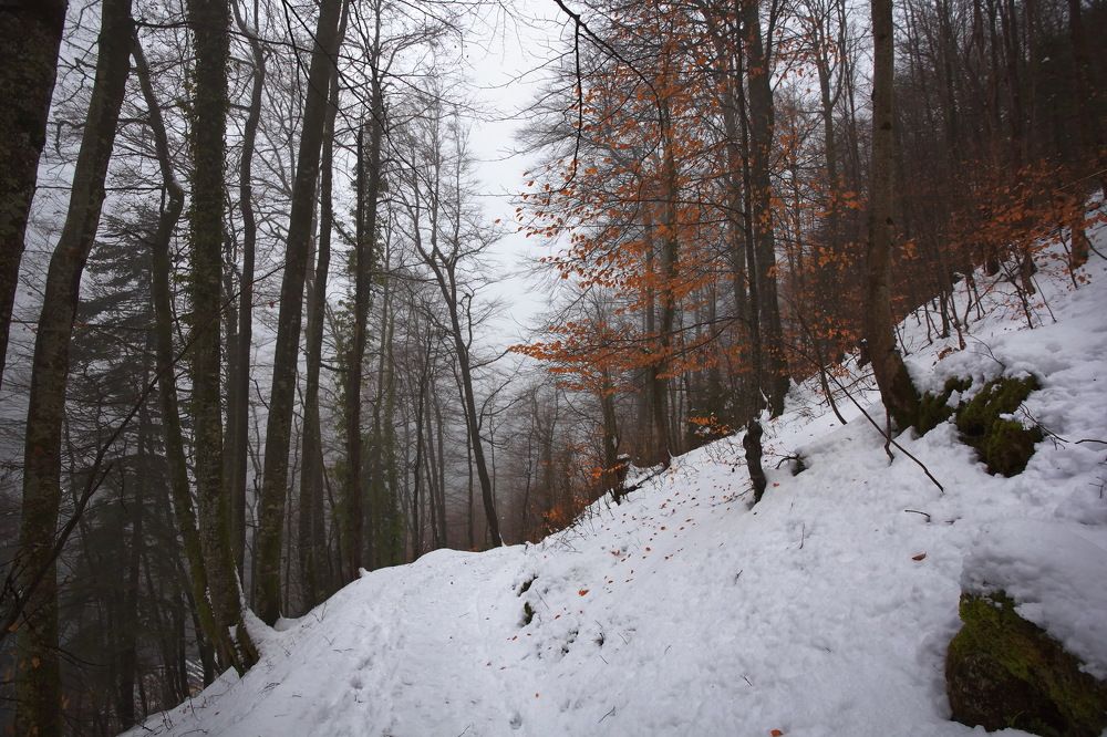 По косогорам