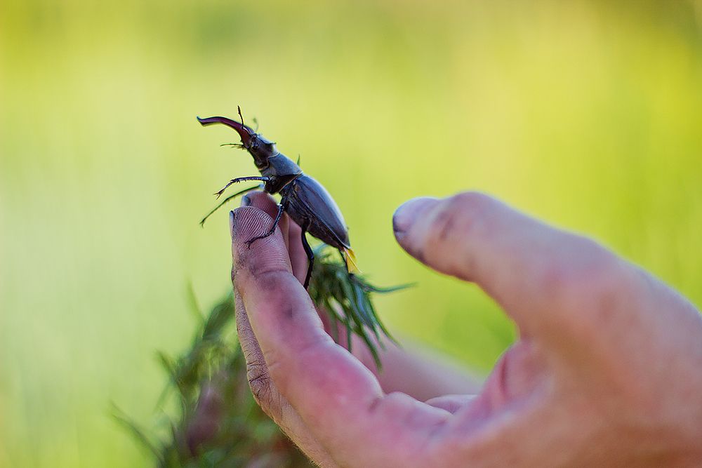 Photograph by Мария Сычёва