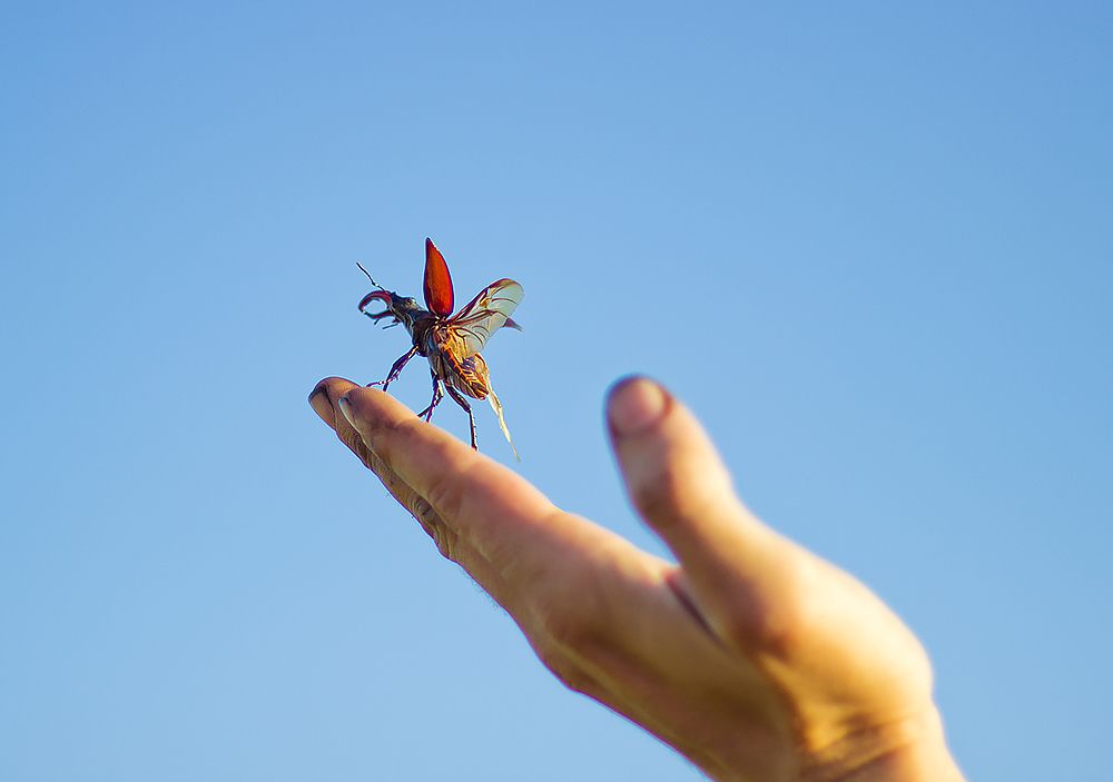 Photograph by Мария Сычёва