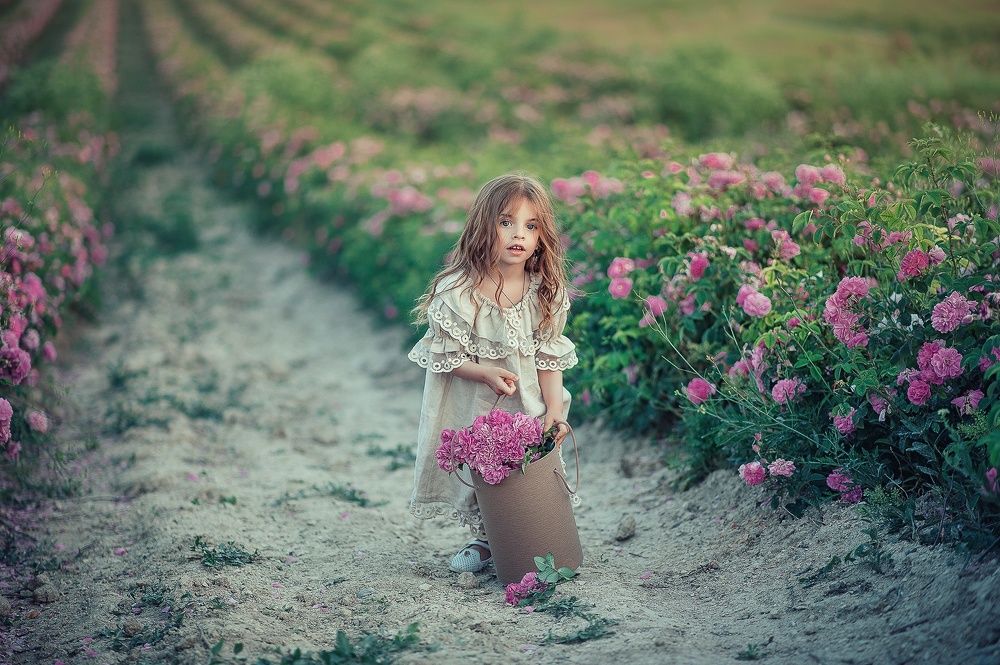 Девочка и Розы