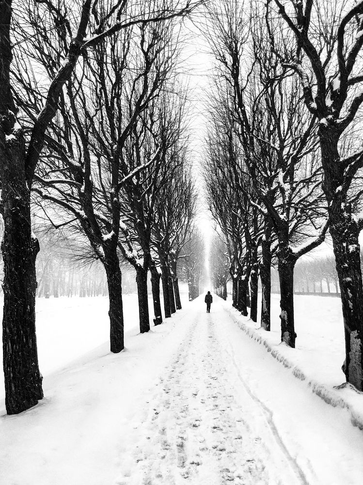 Зимняя симметрия