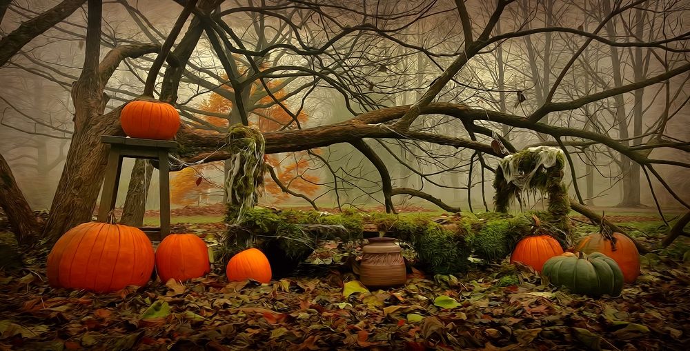 Magical autumn morning