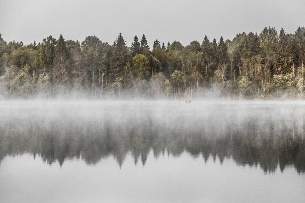 Утренняя рыбалка
