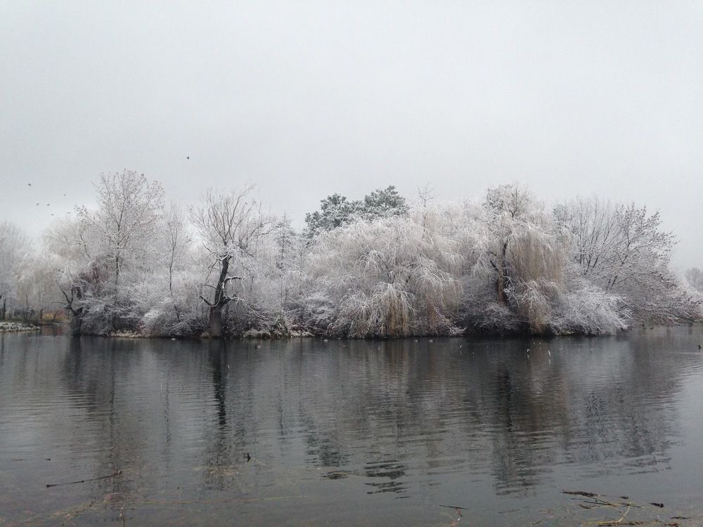 Зимний парк