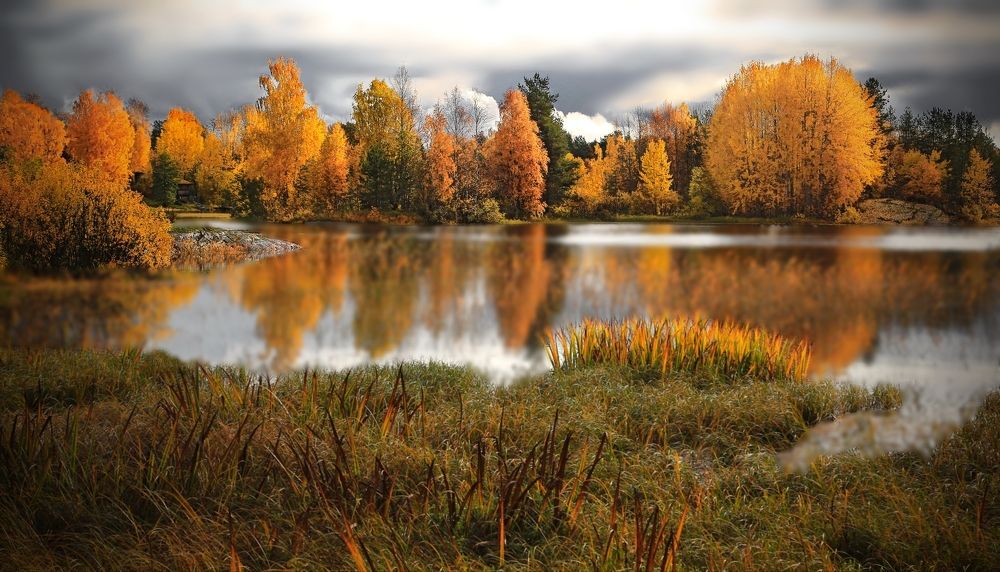 Палитра осени