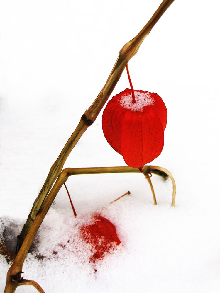 Photograph by Владимир