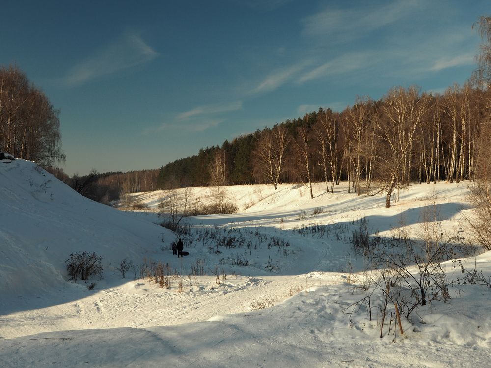 Подмосковье зимой.