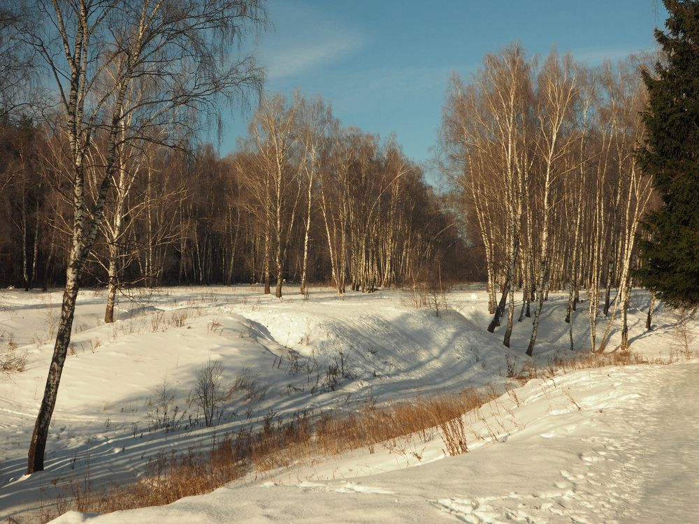 Подмосковье зимой.