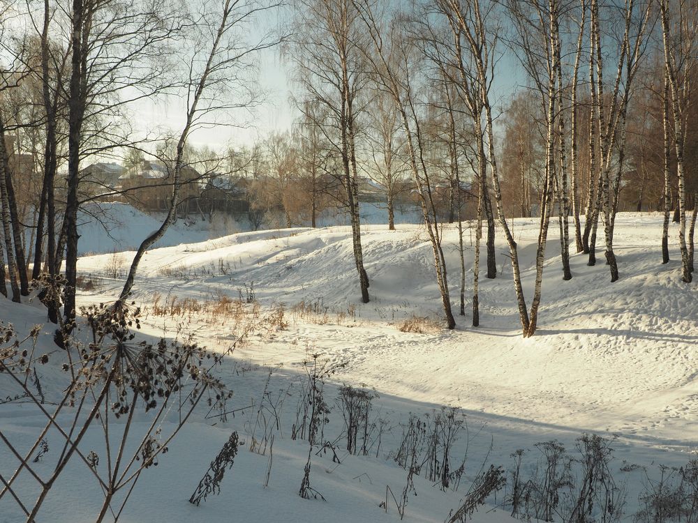 Подмосковье зимой.
