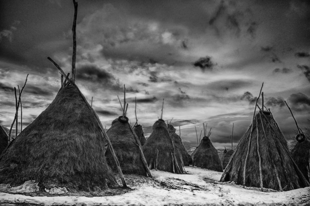 Natural Crowd in the Winter Shadows