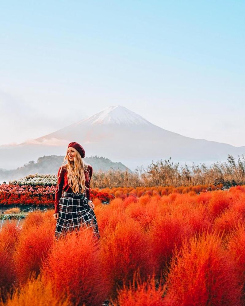 краски Японии