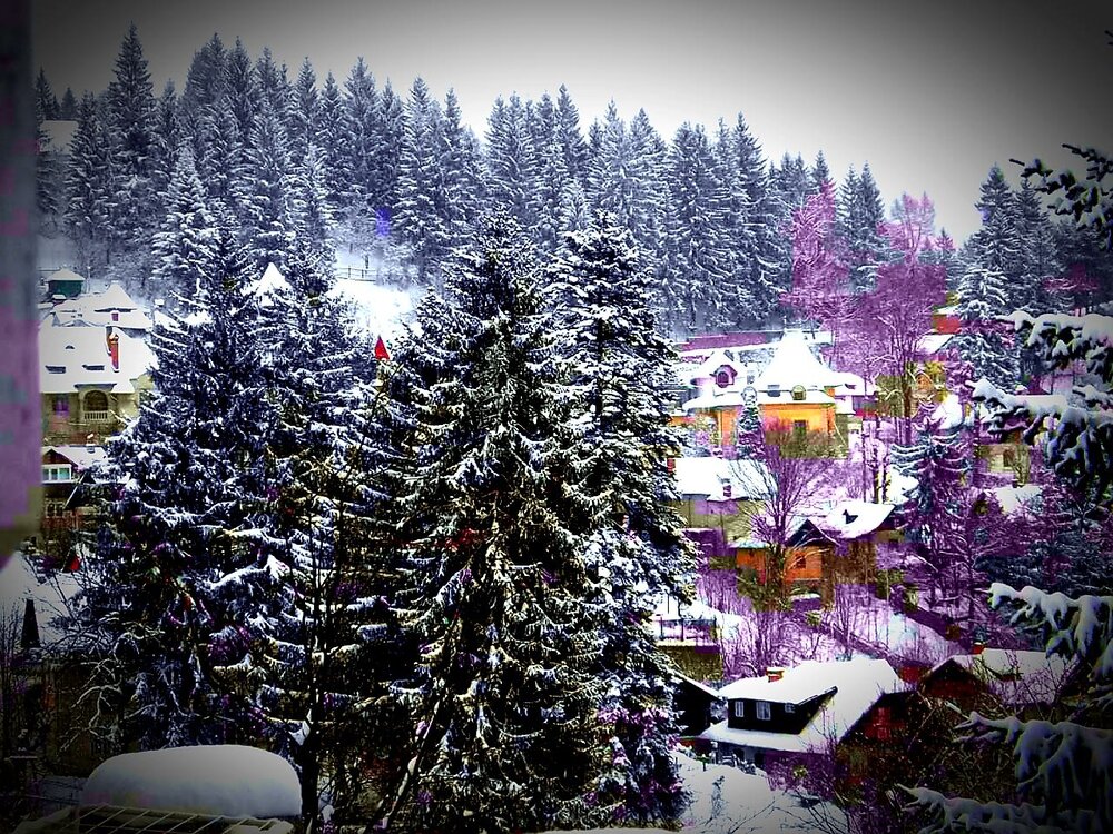 Winter landscape