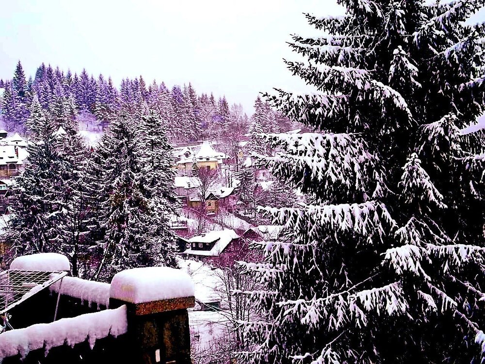 Winter landscape