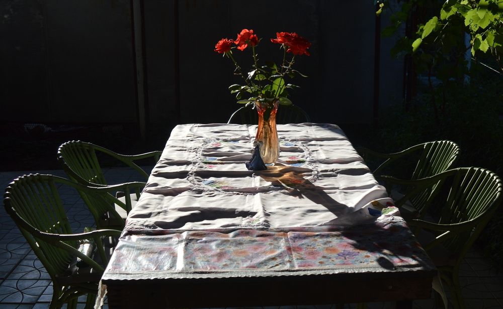 Цветы и кресла